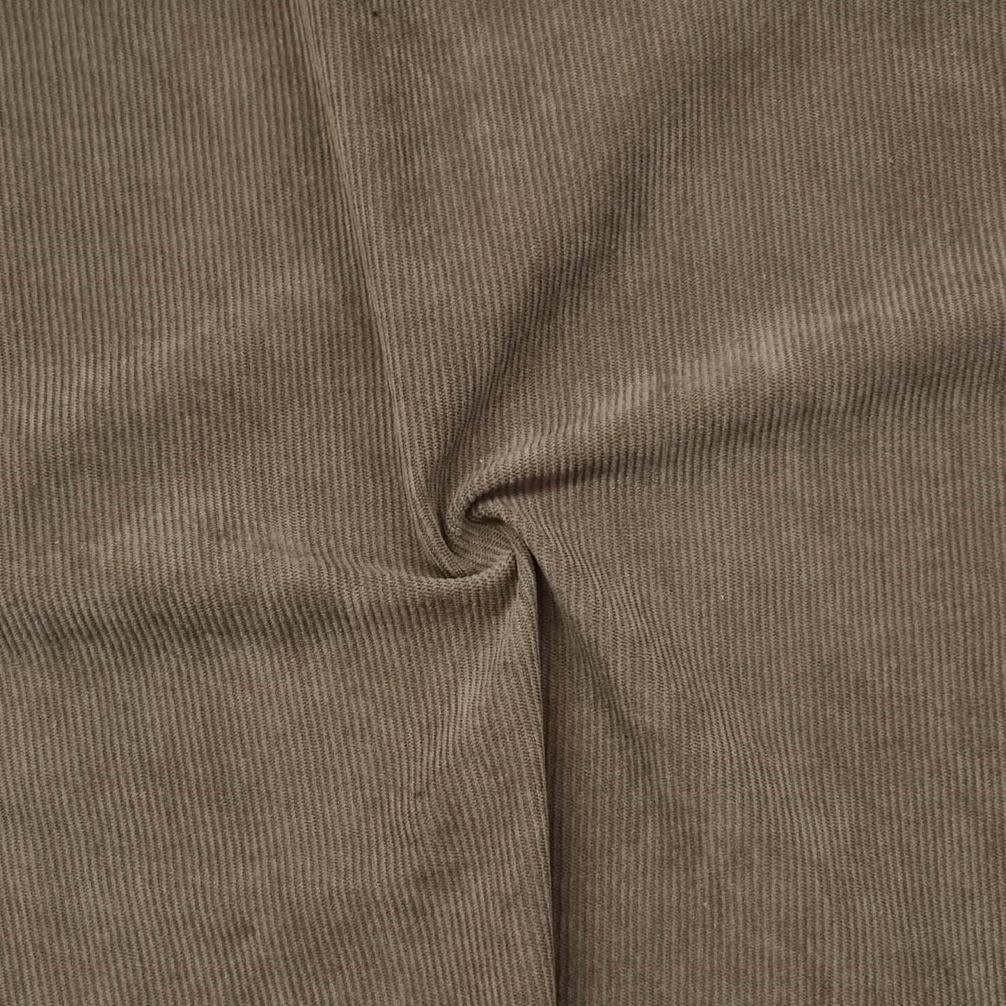 Corduroy 11W