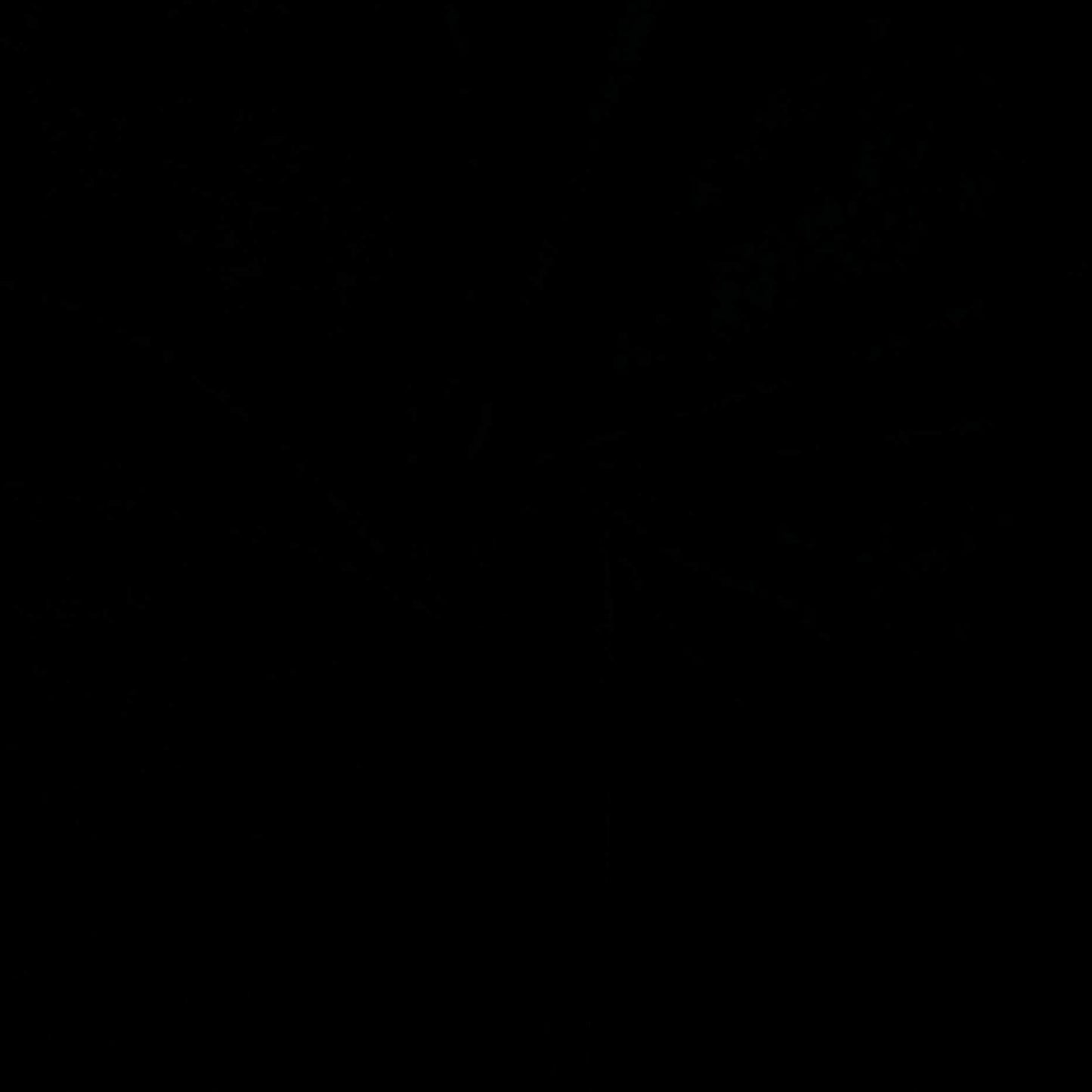 Black Cotton Lycra Jersey Knit