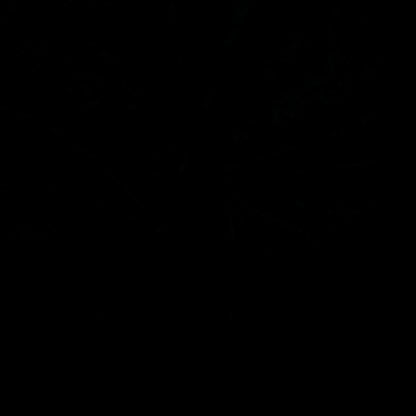 Black Cotton Lycra Jersey Knit